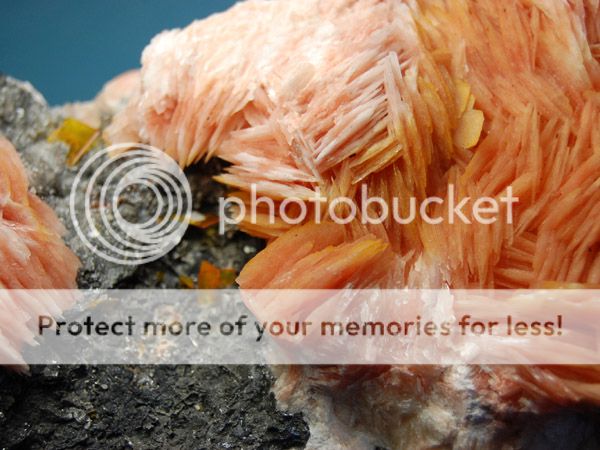 25 Superb Pink Barite w/Wulfenite on matrix, Miblade  