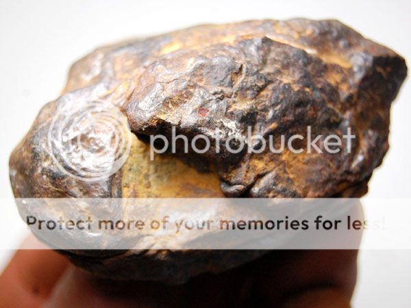 lb Meteorite Specimen from Nandan, China  